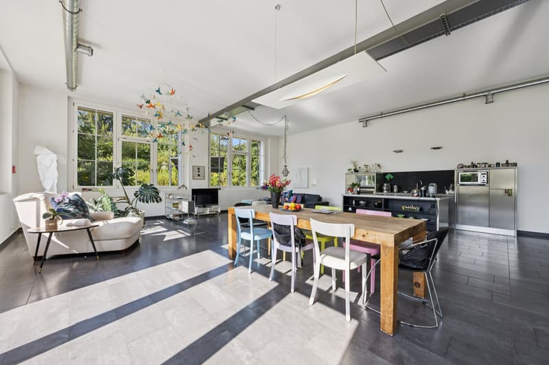 Einmaliges Loft mit Umschwung (5)