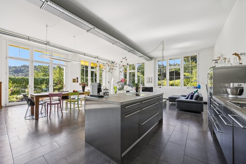 Einmaliges Loft mit Umschwung (4)