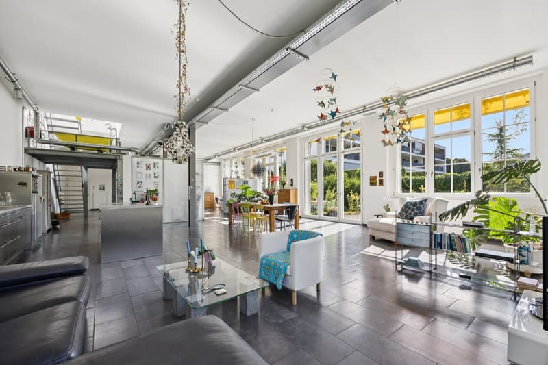 Einmaliges Loft mit Umschwung (1)