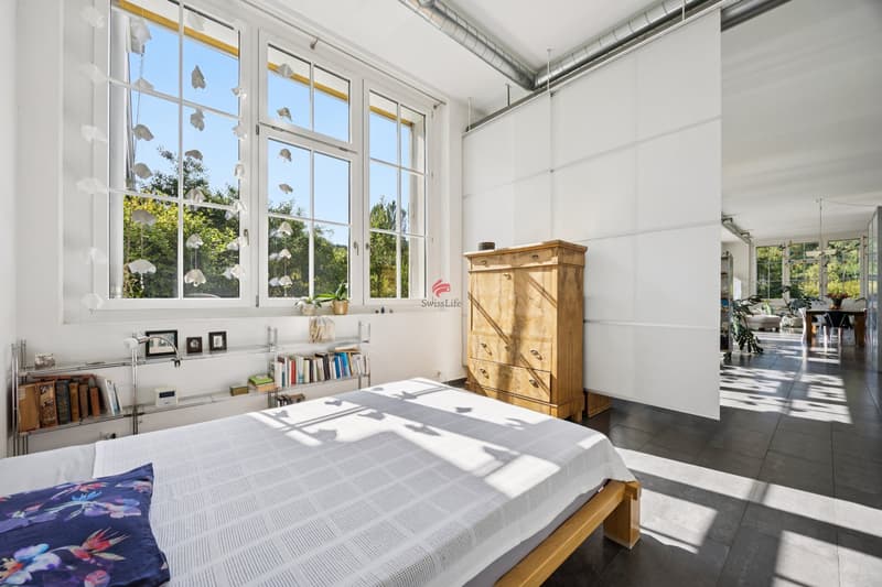 Einmaliges Loft mit Umschwung (7)