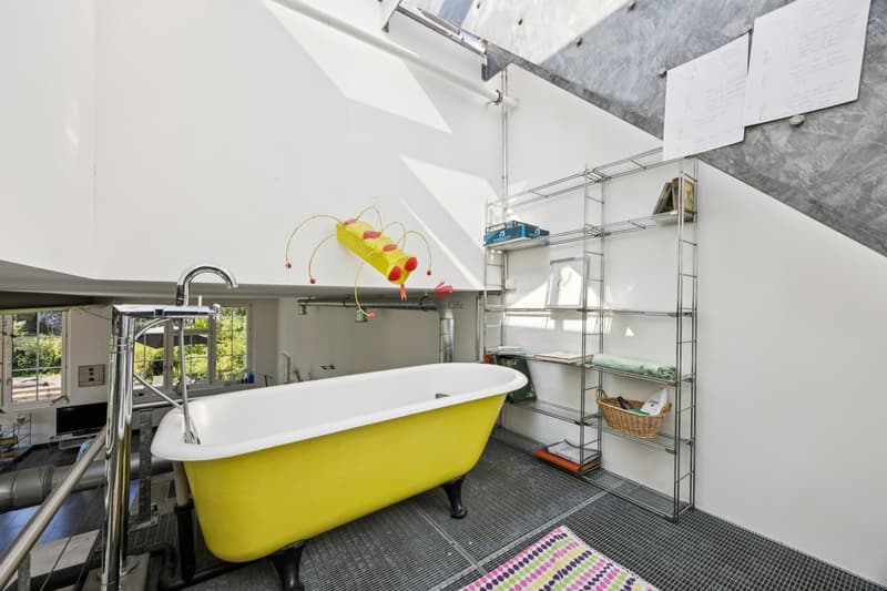 Einmaliges Loft mit Umschwung (8)