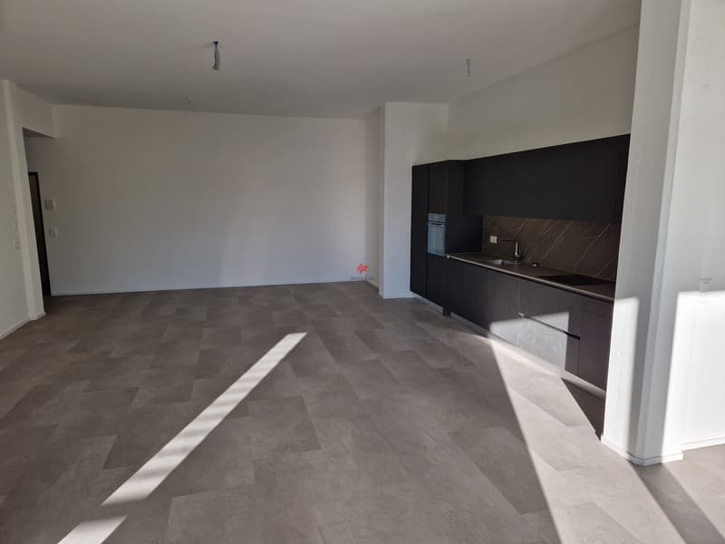 Moderne Loftwohnungen - Erstbezug (9)