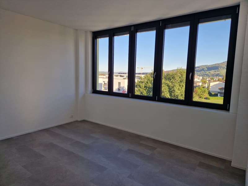 Moderne Loftwohnungen - Erstbezug (4)