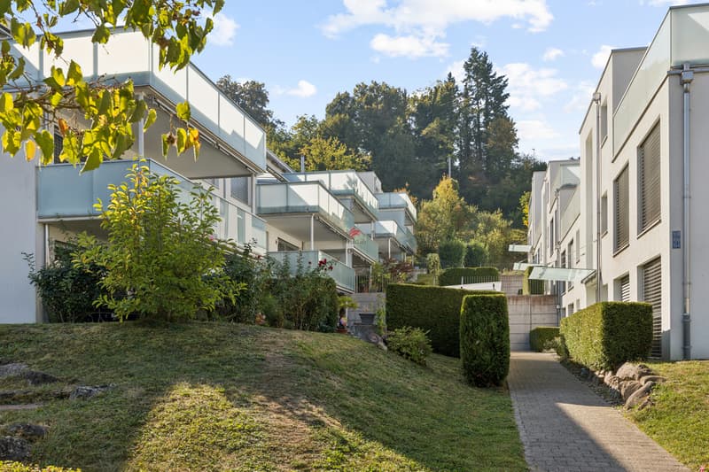 Modernes Leben unweit von Zürich-City (2)