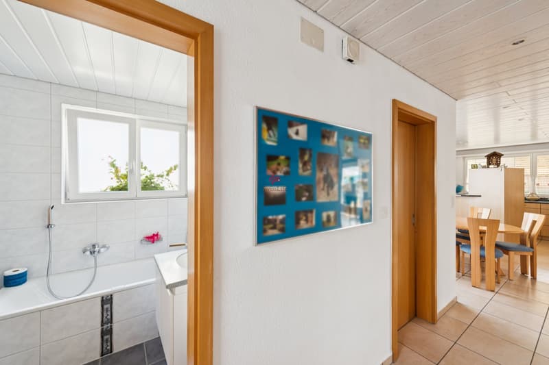 Einfamilienhaus mit grosszügigem Garten (8)