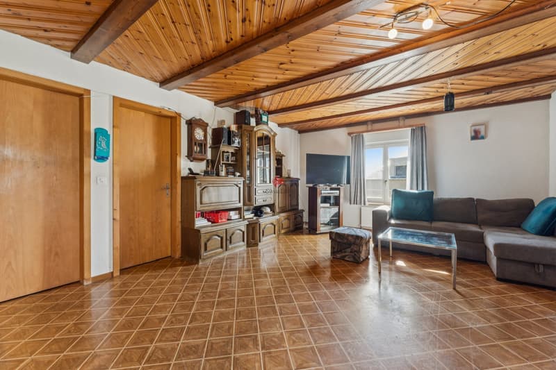 3.5-Zimmer-Wohnung / Wohnzimmer