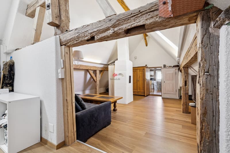Liebhaberobjekt mit Einliegerwohnung (7)