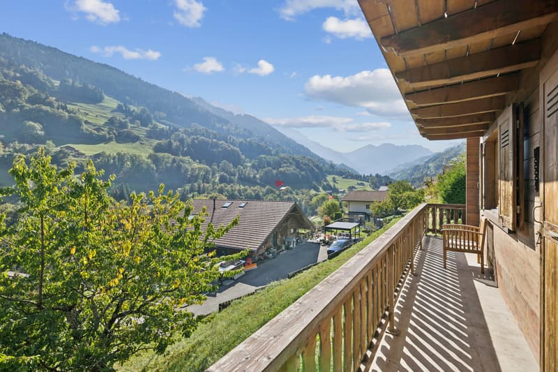 Charme alpin et tranquillité aux portes du village (12)