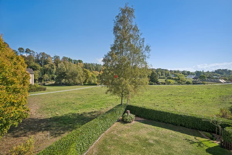 Aussicht ins Grüne und zur Sihl