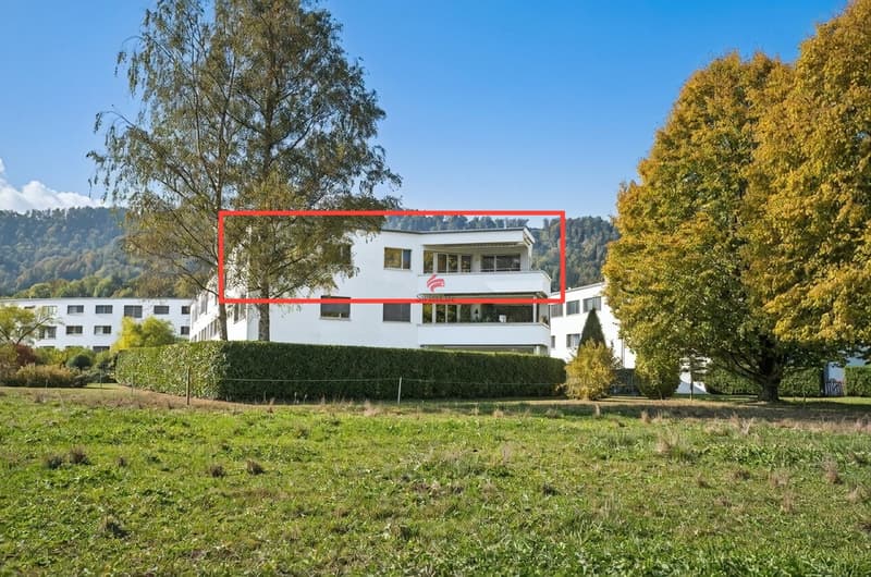 Dachwohnung mit freier Sicht an der Sihl (1)