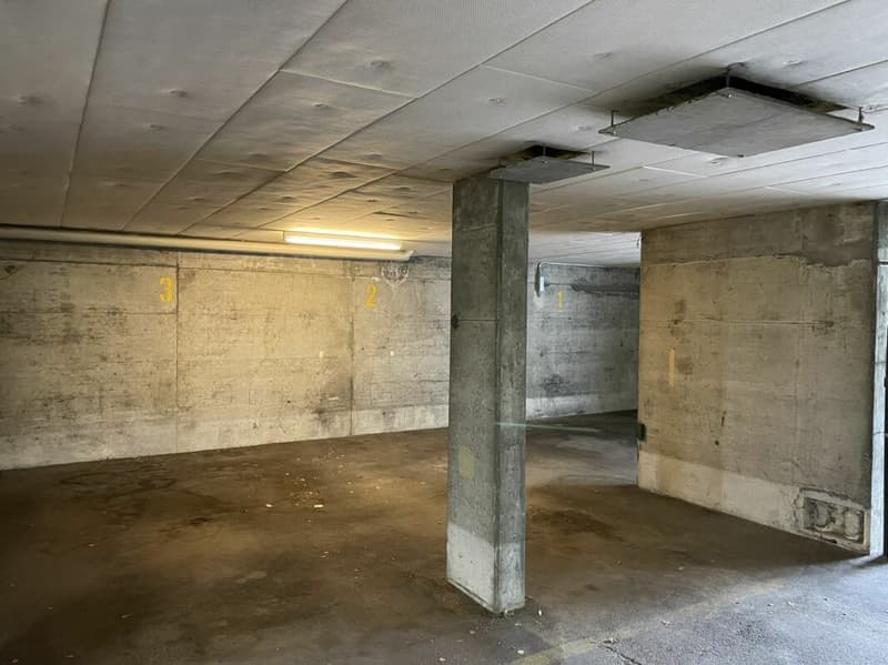 Looking for a parking space? (4)