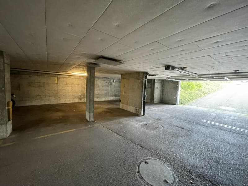 Looking for a parking space? (5)