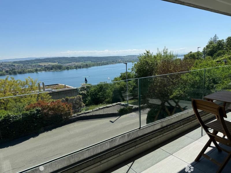 Exklusive 4.5-Zimmer-Panoramawohnung mit traumhafter See- und Bergsicht in Biel/Bienne (3)