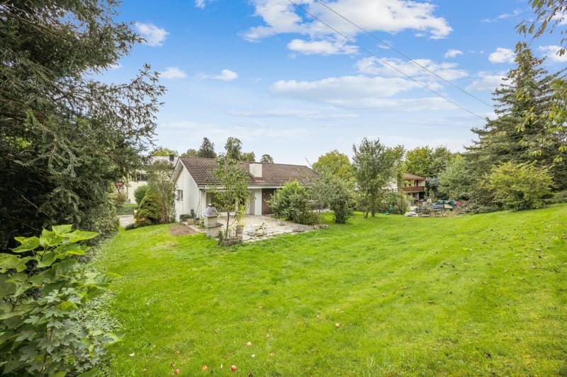 Idyllic plot with future prospects and development opportunities (3)