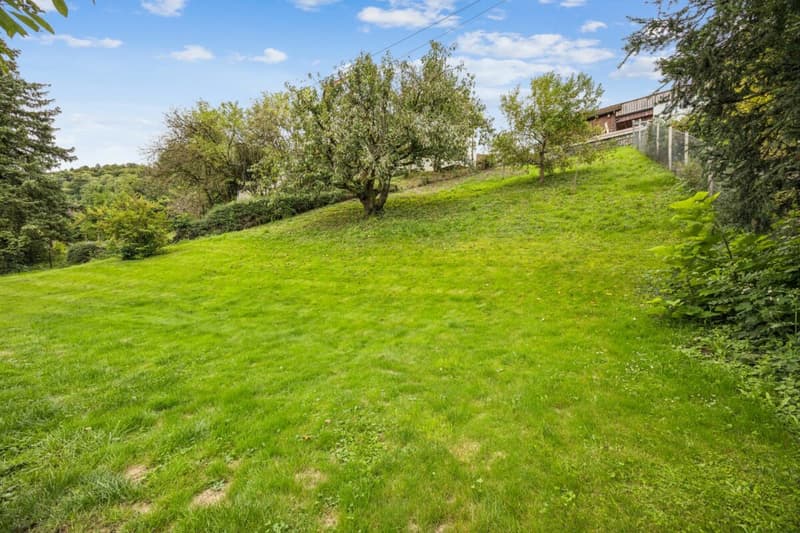 Idyllic plot with future prospects and development opportunities (4)
