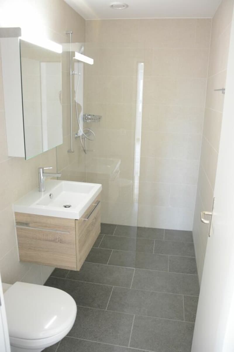 Appartement 2.5 pièces avec balcon à louer (3)
