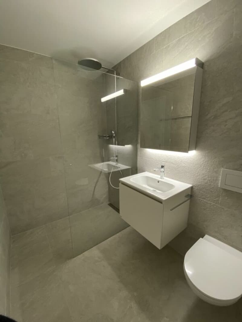 Modern 2.5-room apartment with high standard of construction in Nassenwil (7)