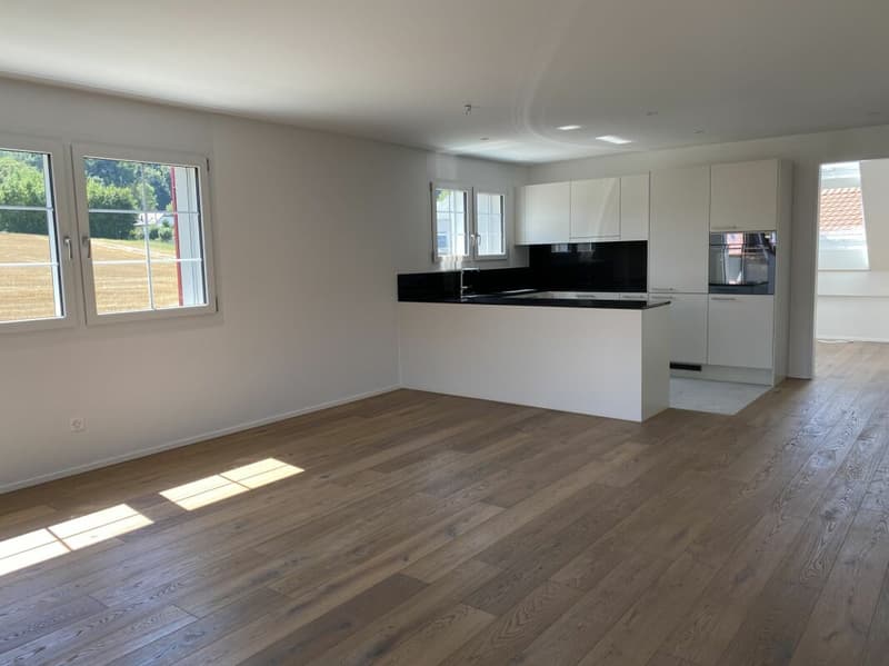 Modern 2.5-room apartment with high standard of construction in Nassenwil (2)