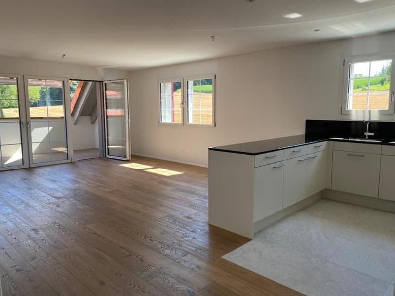 Modern 2.5-room apartment with high standard of construction in Nassenwil (3)