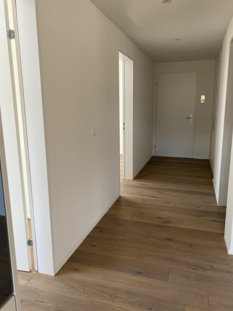 Modern 2.5-room apartment with high standard of construction in Nassenwil (5)