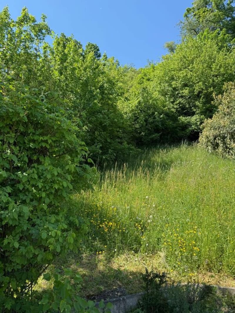 Appartamento panoramico esclusivo di 4,5 locali con vista mozzafiato sul lago e le montagne a Biel/Bienne (11)