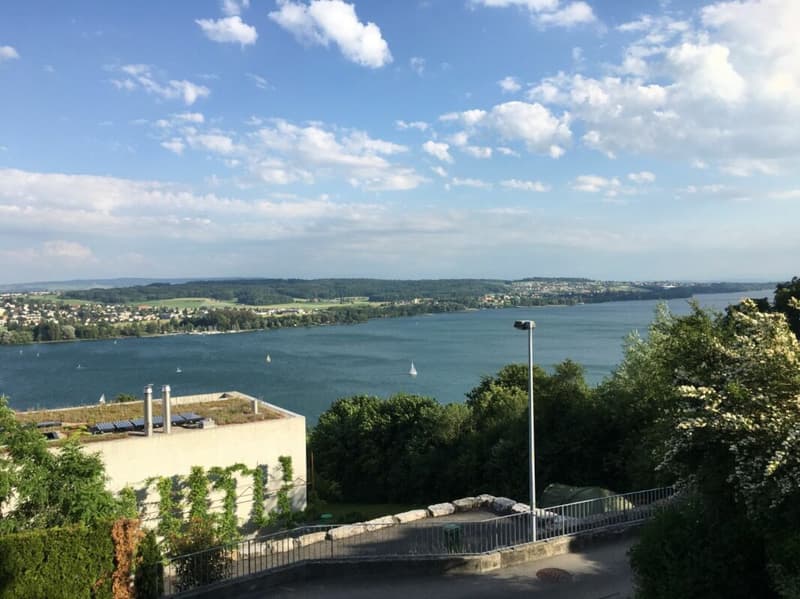 Appartamento panoramico esclusivo di 4,5 locali con vista mozzafiato sul lago e le montagne a Biel/Bienne (2)
