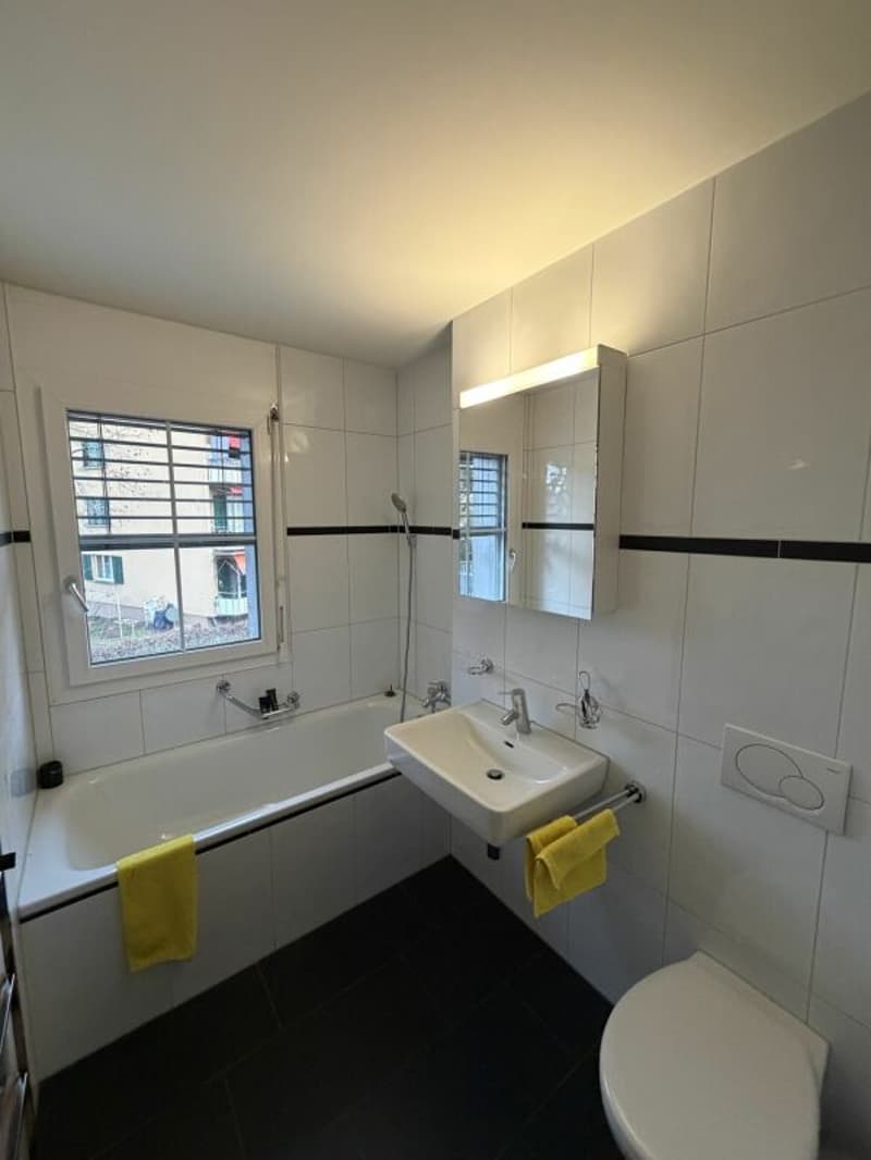 Moderne 2.5-Zimmerwohnung zentral in Kloten (6)