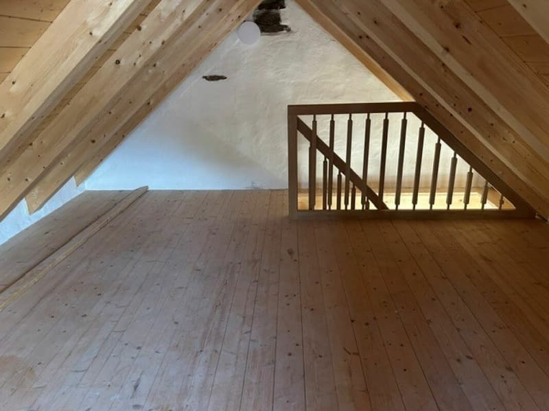 Charmantes Grottino mit ausgebautem Dachgeschoss in Orselina / Affascinante grottino con sottotetto abitabile a Orselina (2)