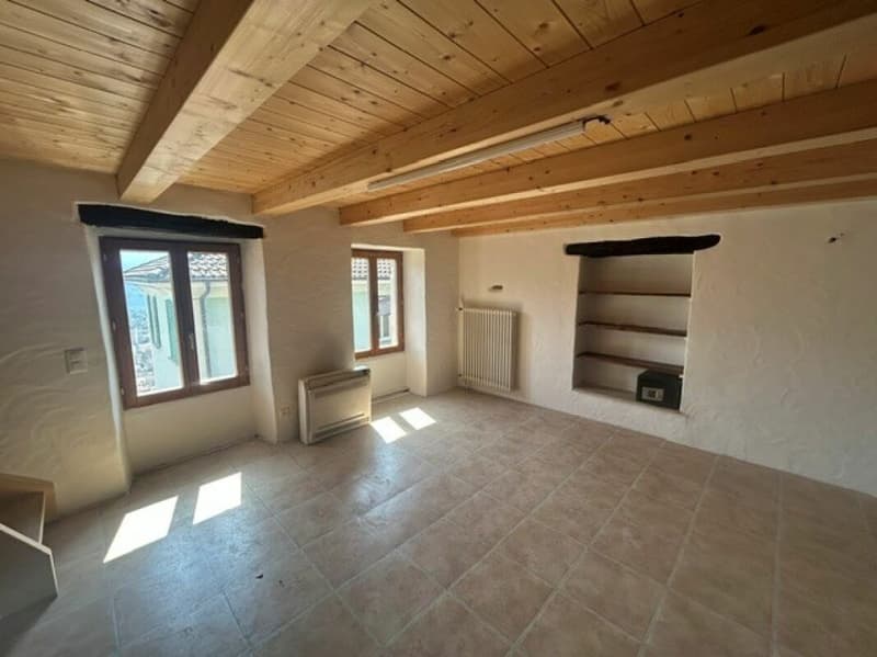 Charmantes Grottino mit ausgebautem Dachgeschoss in Orselina / Affascinante grottino con sottotetto abitabile a Orselina (5)