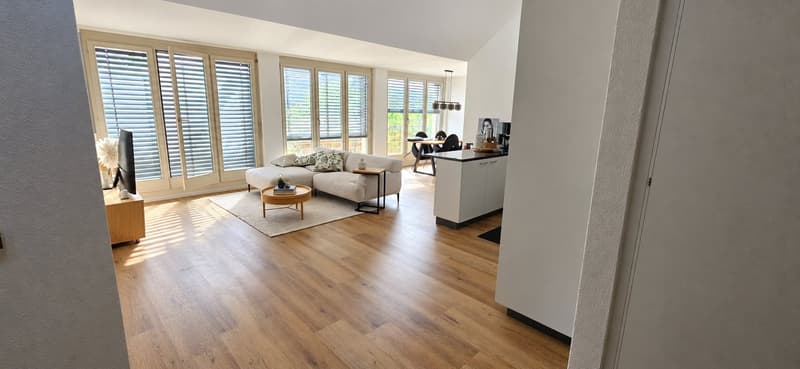 Lichtdurchflutete Wohnung mit grossem Balkon (1)