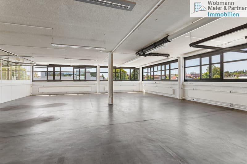 Vielseitige Gewerbe- und Büroflächen mit über 1'150 m² Nutzfläche (12)