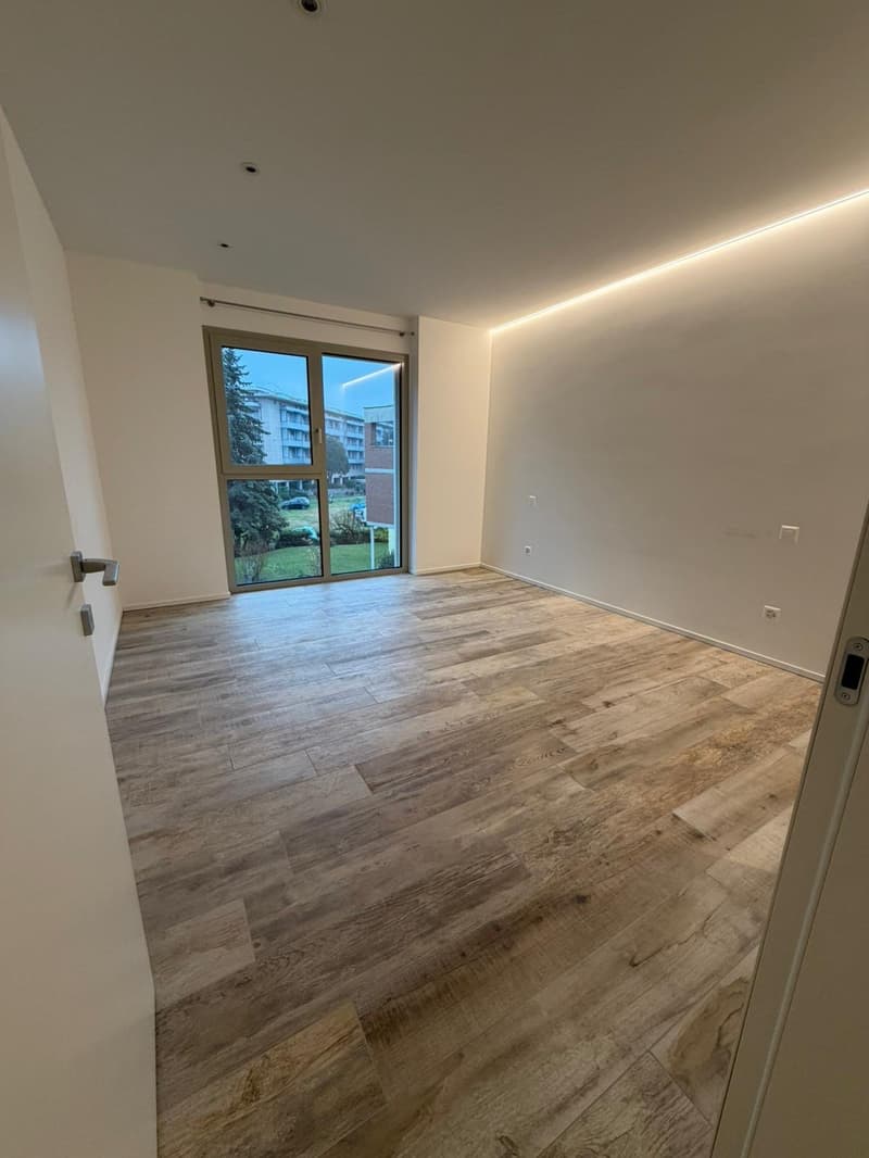 wooden flooring, large windows with balcony, modern interior design