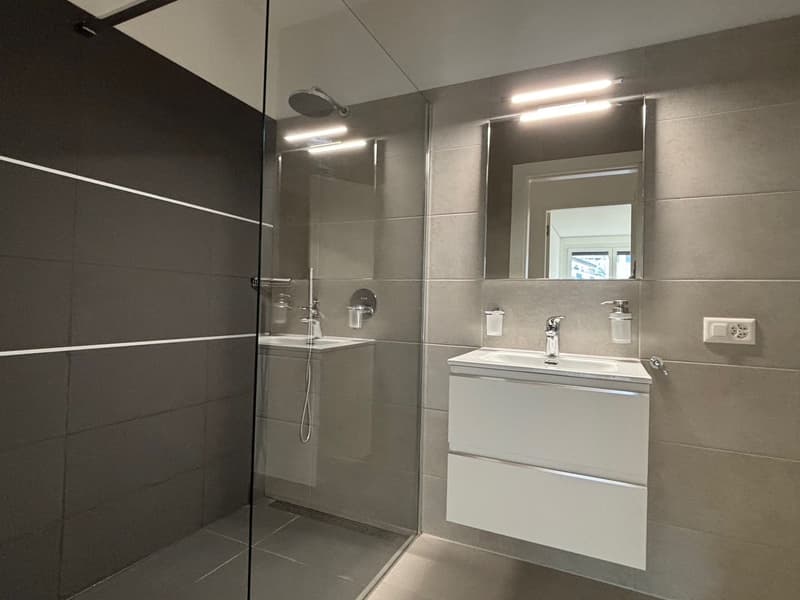 modern bathroom, glass shower enclosure, sink, mirror, two drawers, wall-mounted faucet, under-cabinet lighting