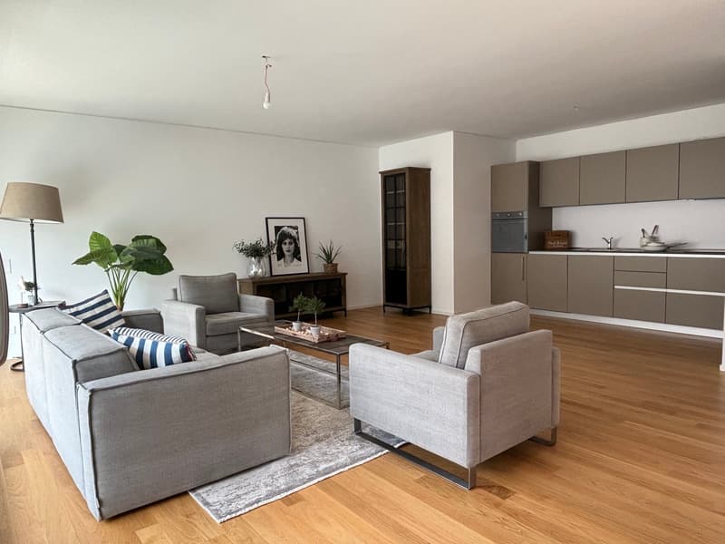 Moderno appartamento di 3.5 locali a Paradiso (4)