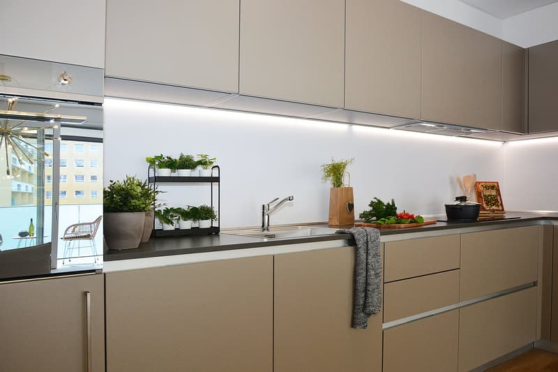 kitchenette with sink, faucet, countertop, plants, towel, cabinet, light