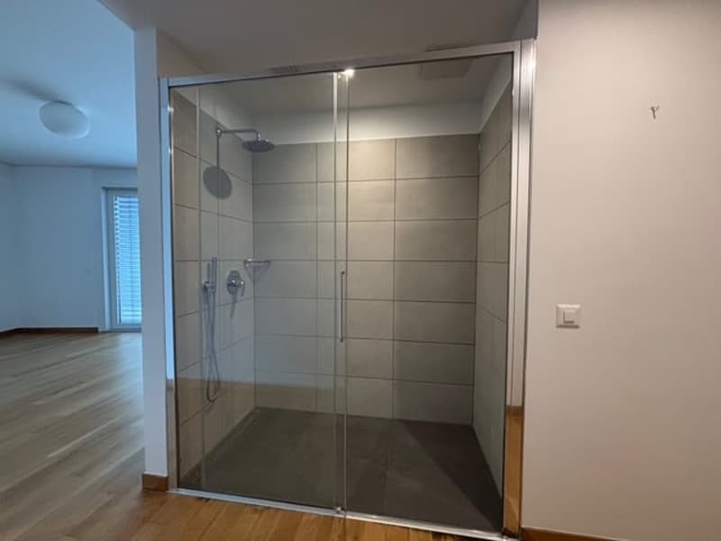 shower stall, modern tiles, wooden floor, sliding glass door, no fixtures visible