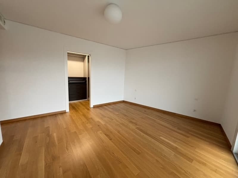 Empty room with white walls, wooden floor, ceiling lamp, closet