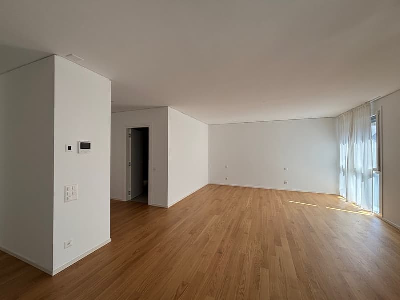 empty room, wooden floor, white walls, glass door, power outlets, light switch