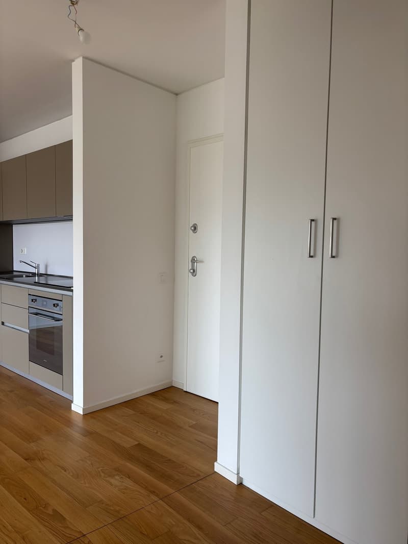 Appartamento di 2.5 locali in moderna residenza (5)