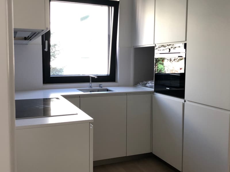 Zweieinhalb-Zimmer-Wohnung mit Garten in Massagno (3)