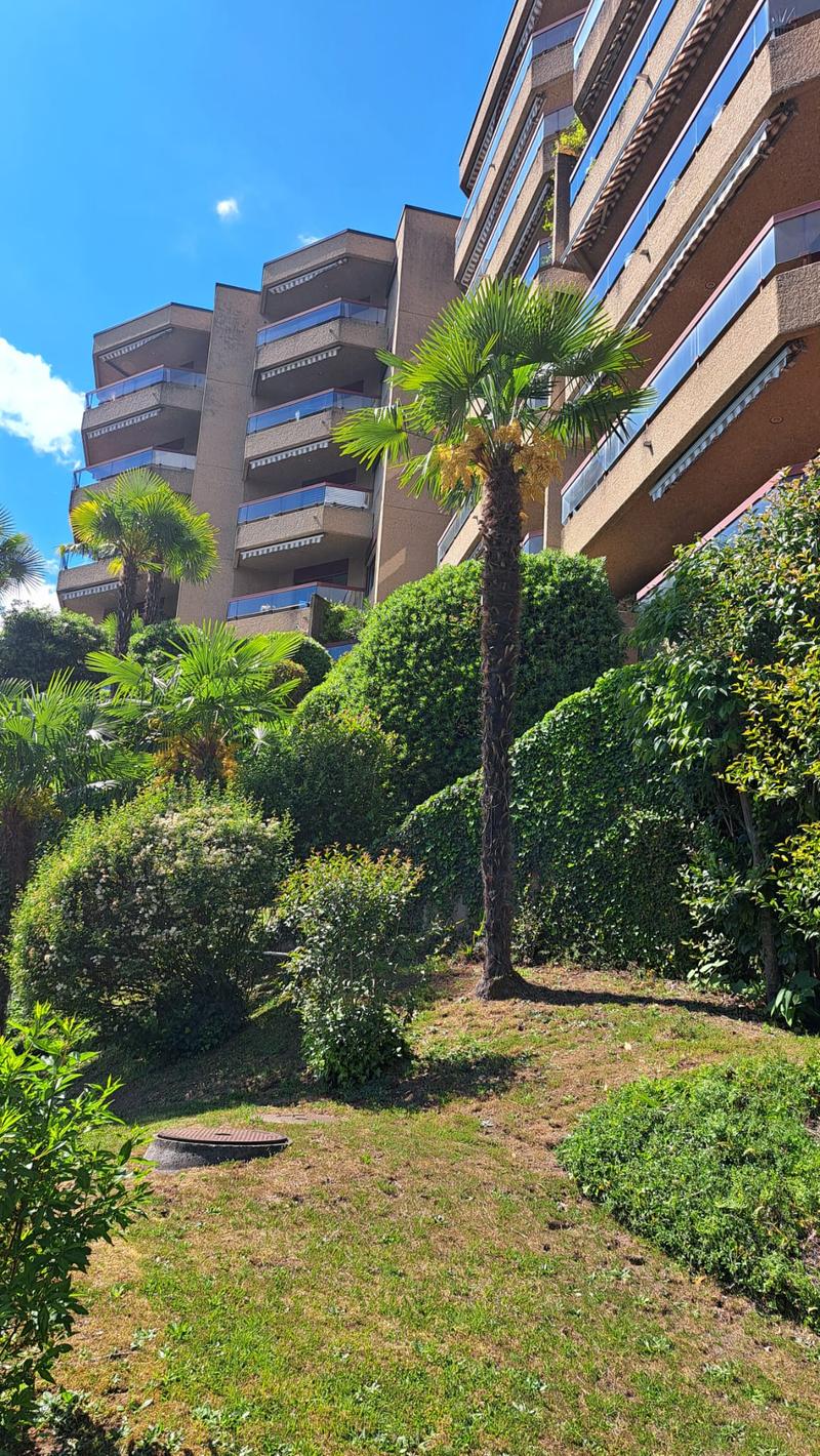 Lugano – Bright 2.5-room apartment with terrace and lake view (8)