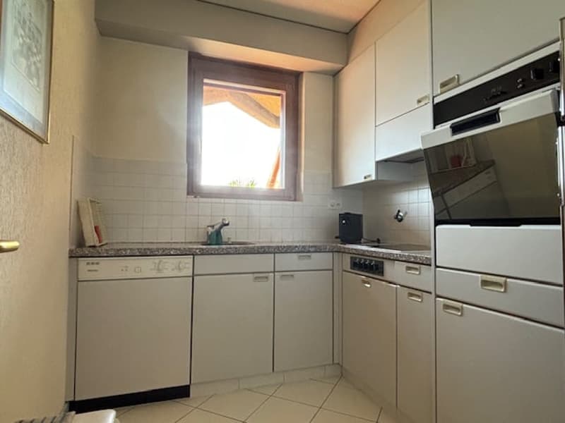 Lugano – Bright 2.5-room apartment with terrace and lake view (4)
