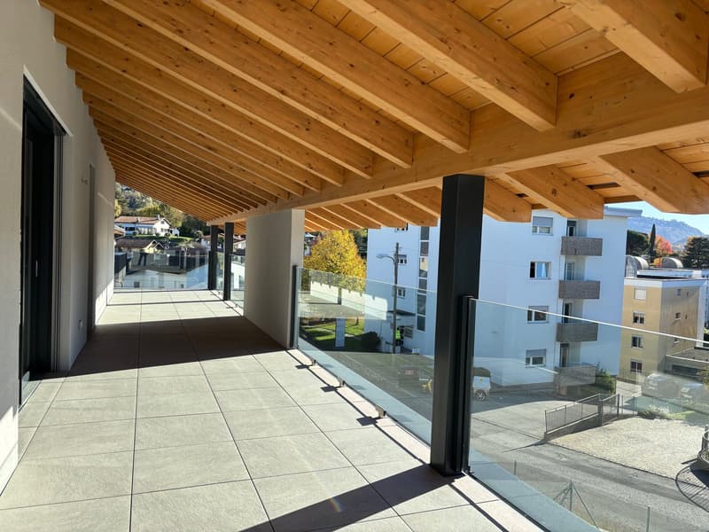 Modern attic of 3.5 rooms with large terrace (1)