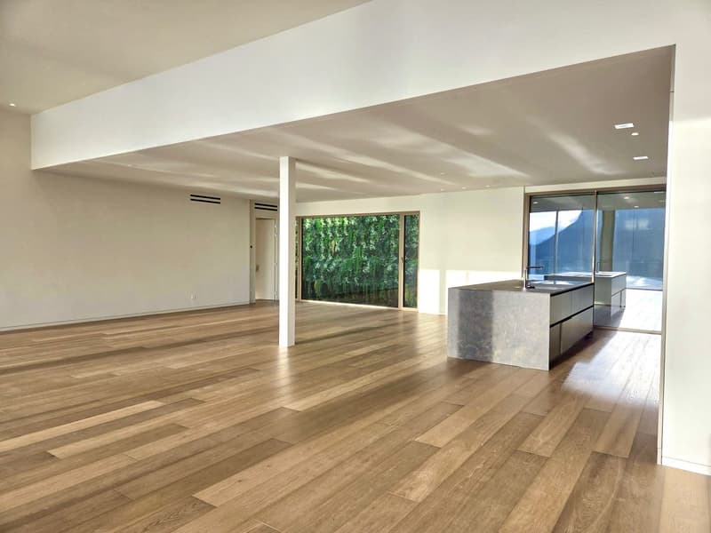 LUXUS-PENTHOUSE MIT PANORAMABlick AUF DEN LUGANER SEE (3)