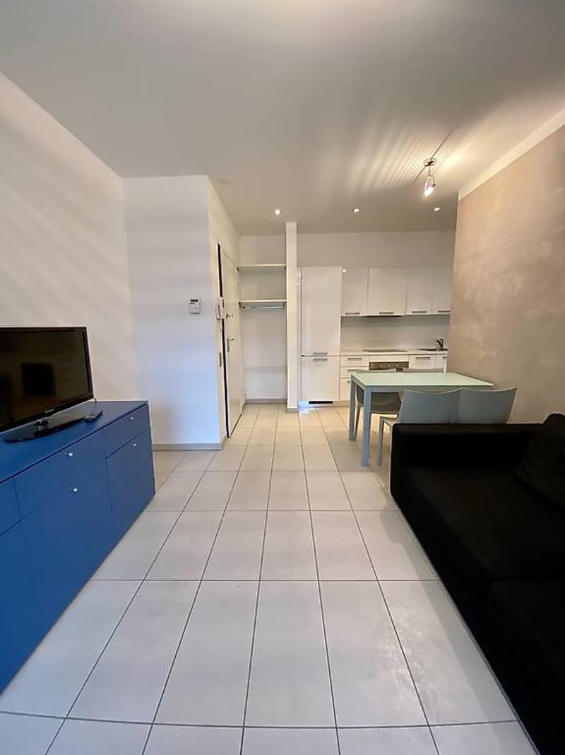 CENTRAL 2-ROOM APARTMENT FURNISHED - MINIMUM AND MAXIMUM RENT 3 MONTHS (4)
