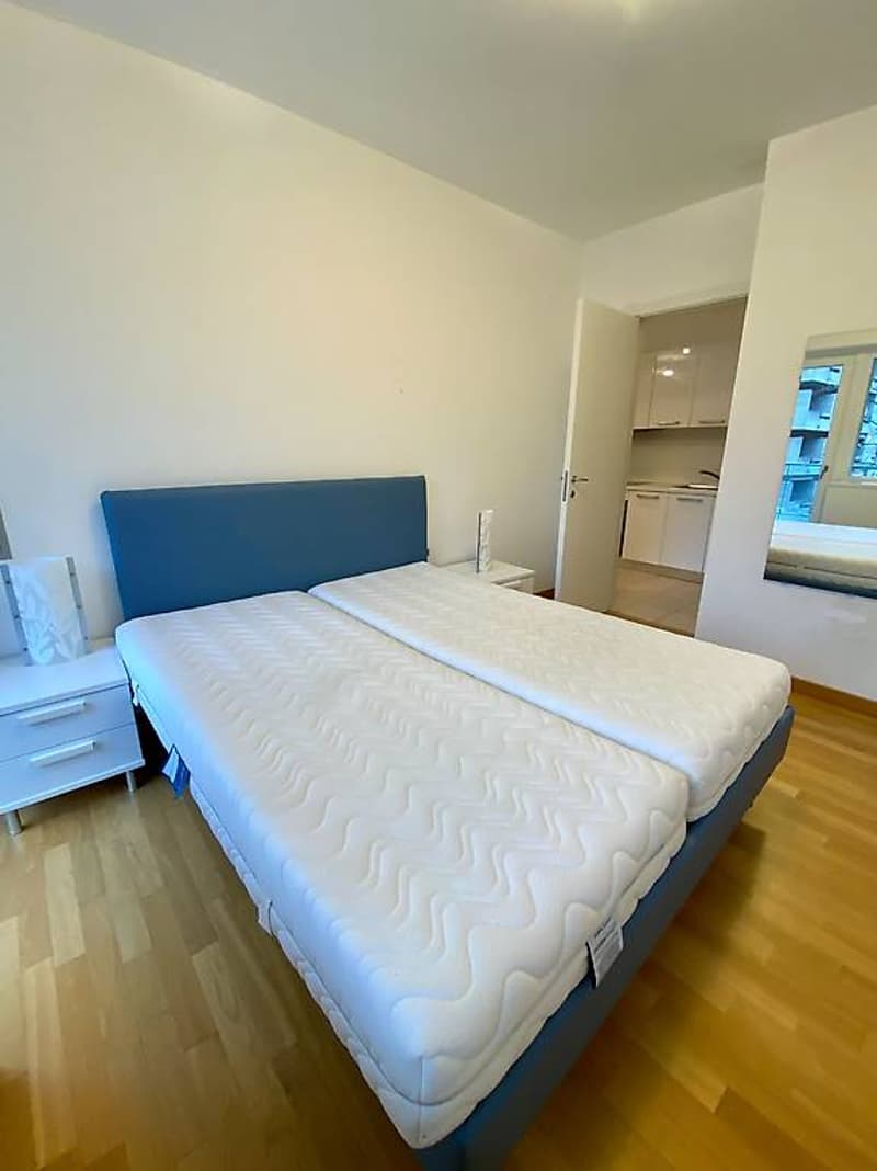 CENTRAL 2-ROOM APARTMENT FURNISHED - MINIMUM AND MAXIMUM RENT 3 MONTHS (7)