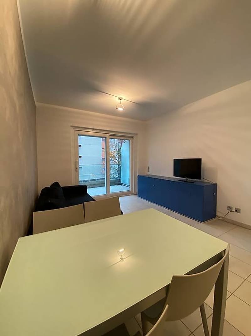 CENTRAL 2-ROOM APARTMENT FURNISHED - MINIMUM AND MAXIMUM RENT 3 MONTHS (3)