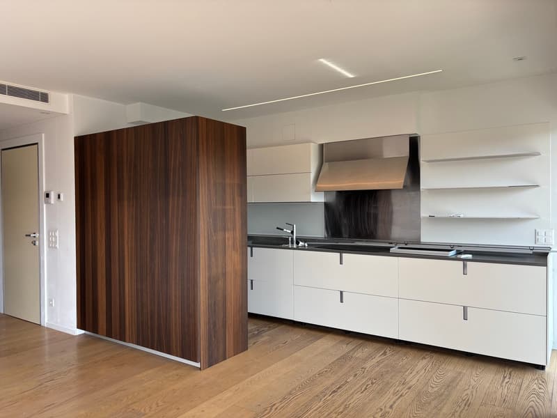 ATTICO VISTA LAGO CON ROOF GARDEN (2)