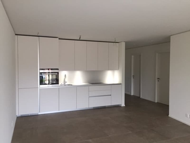 Esclusivo attico di 2.5 locali a Sorengo (4)