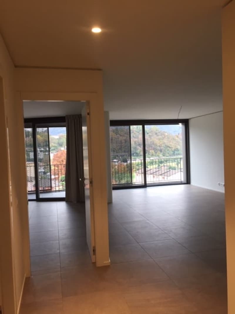 Esclusivo attico di 2.5 locali a Sorengo (3)